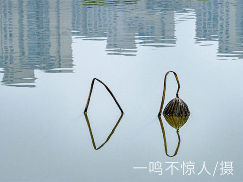 城市風(fēng)光 (11)